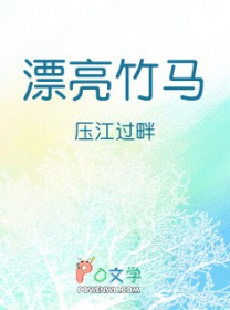 ����С˵:Ư������