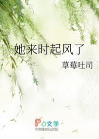 ����С˵:����ʱ�����