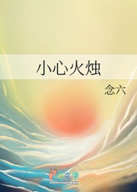 �ֲ�С˵:С�Ļ���