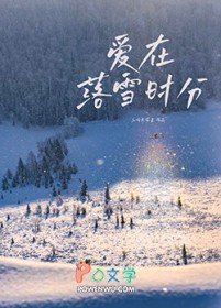 ����С˵:������ѩʱ��