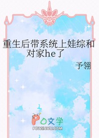 ����С˵:�������ϵͳ�����ۺͶԼ�he��