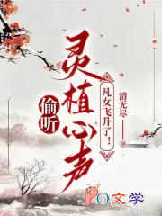 ����С˵:͵����ֲ��������Ů�����ˣ�