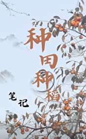 ����С˵:�����ֵ��ʼ�