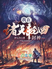 ����С˵:���������ֻط���