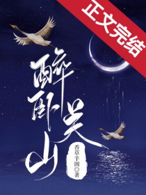 ����С˵:���Թ�ɽ