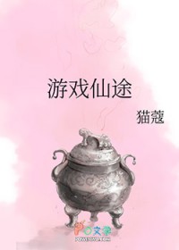 ����С˵:��Ϸ��;