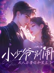 ����С˵:ҹ������