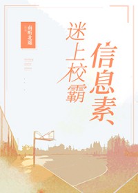 ����С˵:������һ��