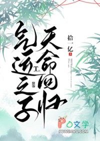 ����С˵:����֮�ӣ������ع�