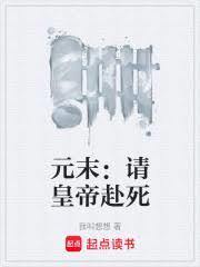 ����С˵:Ԫĩ����ʵ۸���