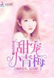 ����С˵:���С��÷�����������������ߣ�