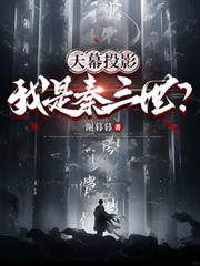 ����С˵:��ĻͶӰ������������