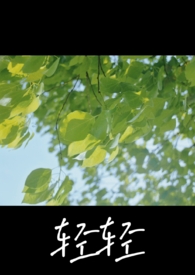 ����С˵:���᡾NP��