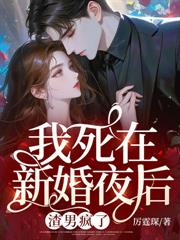 ����С˵:�������»�ҹ�����з���