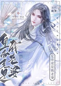 ����С˵:�ʵ۾���������