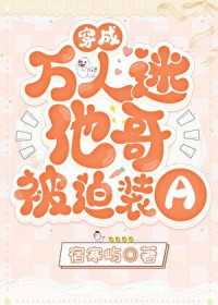 ����С˵:�������������类��װA