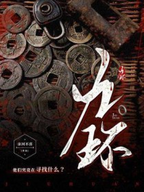 ����С˵:�Ż�