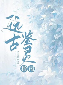 ����С˵:Զ�ż���ָ��