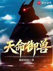 ����С˵:��������