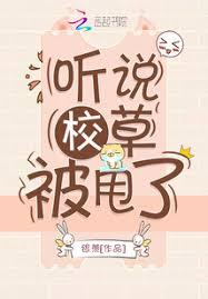 ����С˵:��˵У�ݱ�˦��