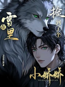 ����С˵:����ѩ����˸�С����