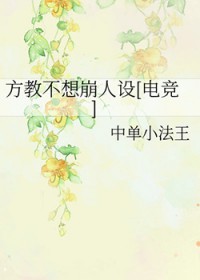 ����С˵:���̲��������[�羺]