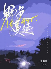 ����С˵:Ұɫ����