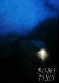 ����С˵:Ū���Ǹ���������NPH��