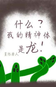 ����С˵:ʲô���ҵľ���������