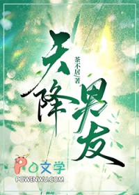 ����С˵:�콵����