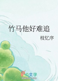 ����С˵:����������׷