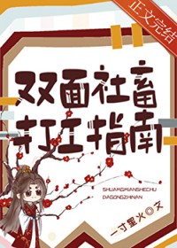 ����С˵:˫�������ָ��