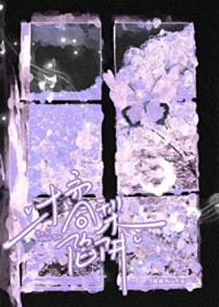 ����С˵:���ٴ���