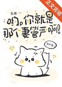 ����С˵:Ӵ��������Ǹ��޹��ϰ�