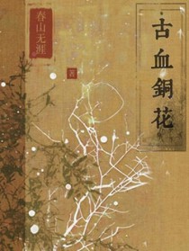 ����С˵:��Ѫͭ��