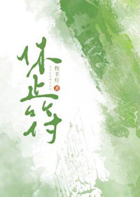 ����С˵:��ֹ��