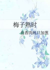 ����С˵:÷����ʱ