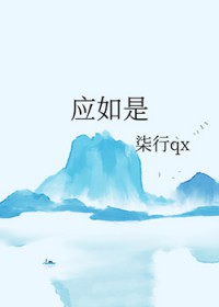 ����С˵:Ӧ����