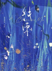 ����С˵:����