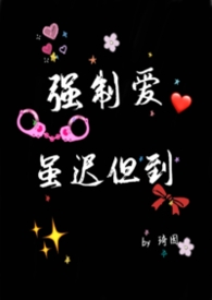 ����С˵:ǿ�ư���ٵ���