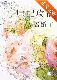 ����С˵:ԭ�乥�������