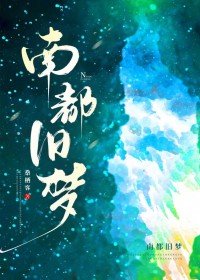 ����С˵:�϶�����