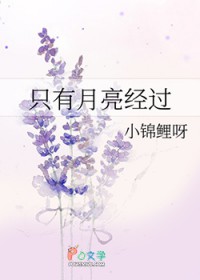 ����С˵:ֻ����������