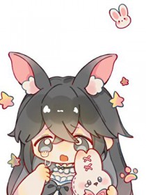 ����С˵:���޹�