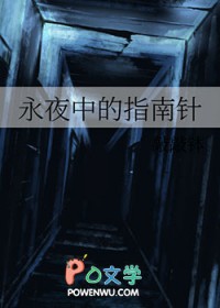 ����С˵:��ҹ�е�ָ����