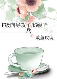 ����С˵:F���򵼹���3S���ڱ�