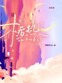 ����С˵:������