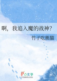 ����С˵:������׷��ħ��ս��