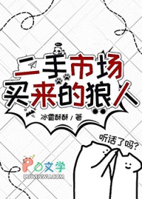 ����С˵:�����г�����������