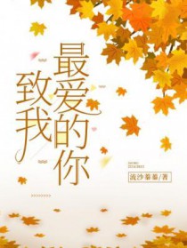 ����С˵:���������